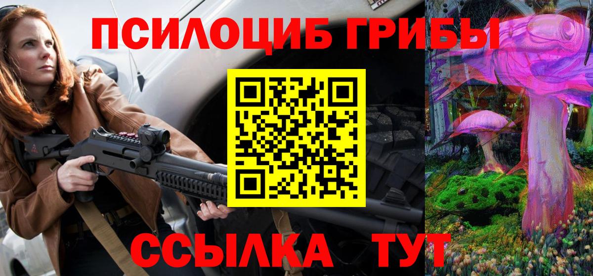 Псилоцибиновые грибы мицелий  Псилоцибиновые грибы ЛСД  Вход с VPN  Карачаевск 